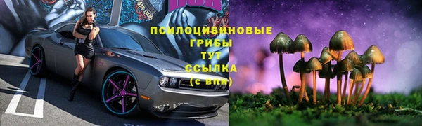 мяу мяу мука Алзамай