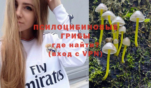 мяу мяу мука Алзамай